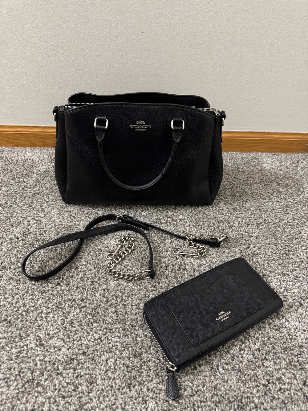 Coach Mini Sage Carryall Satchel with Wallet